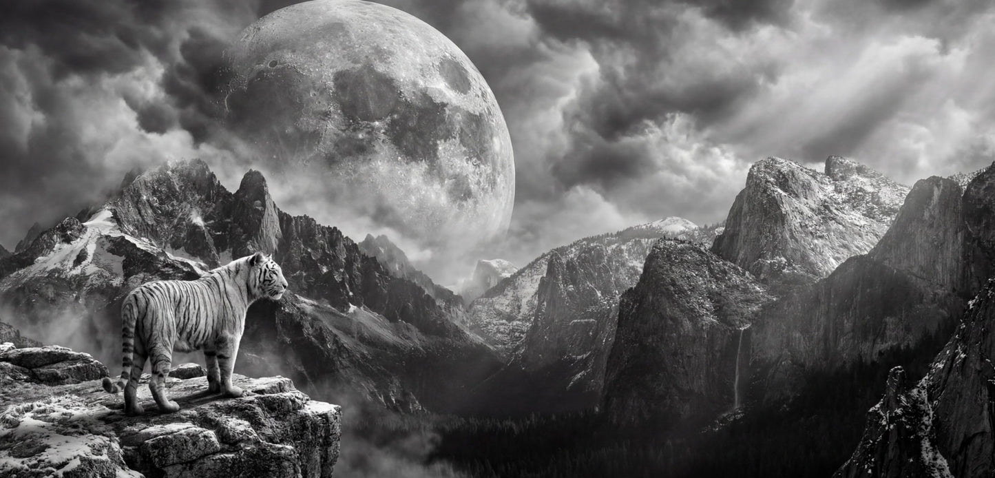 Moon of the White Tiger